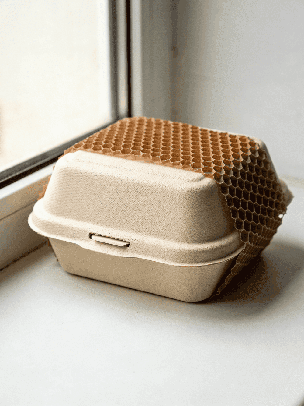 Eco-Friendly Biodegradable Packaging