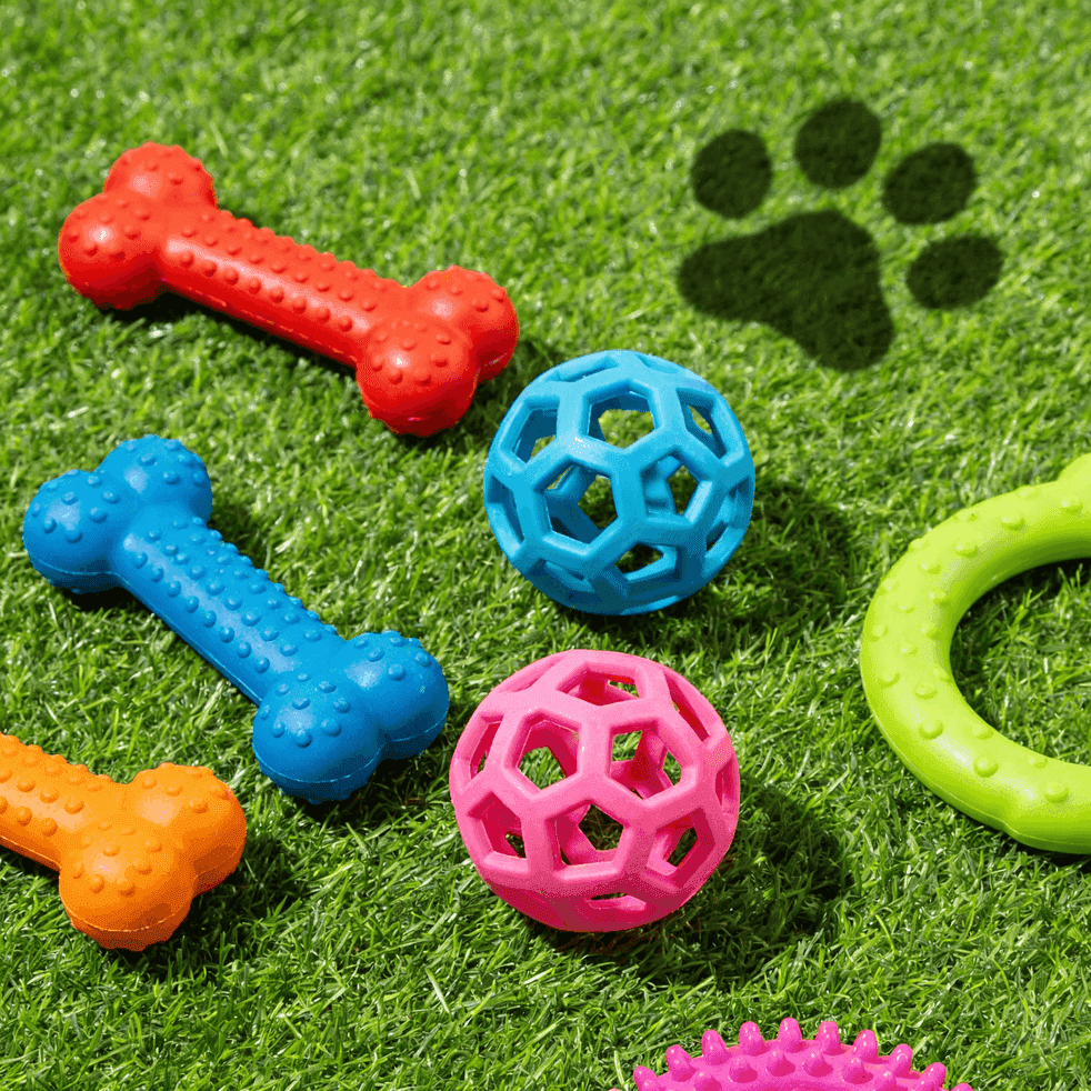 Pet Toys